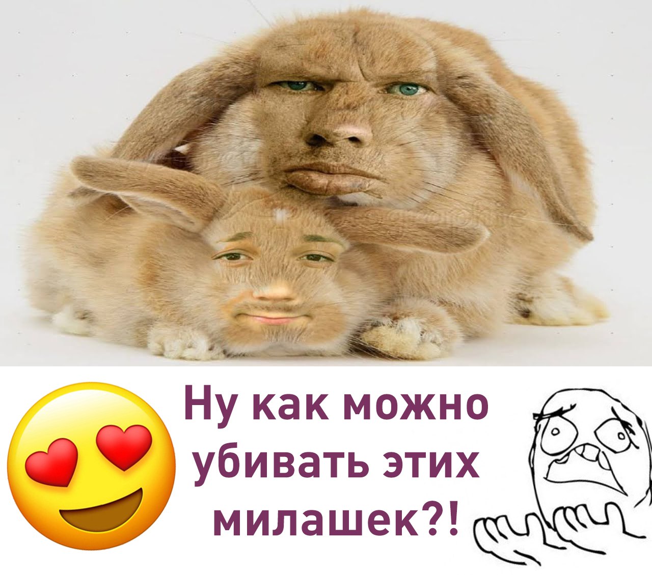 Глад валакас кролик